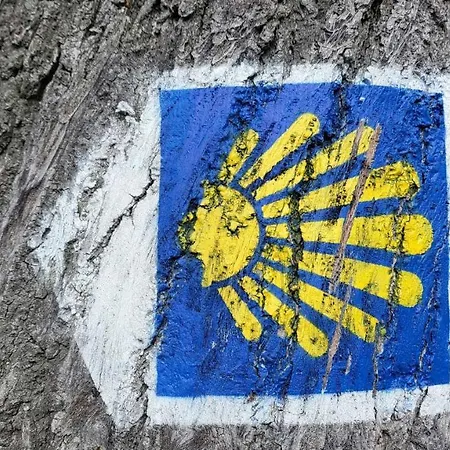 Carpe Diem Lakeside Szczecin